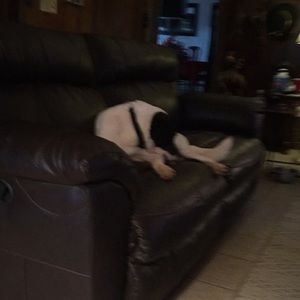 Meet your Posher, Denise